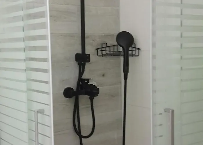 Evestudioskos * Kosz